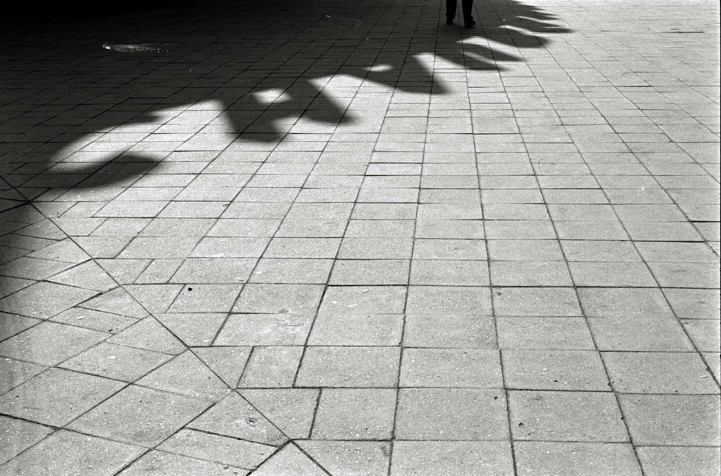 AHP F1993 03 006 sc240902 img02 NLP